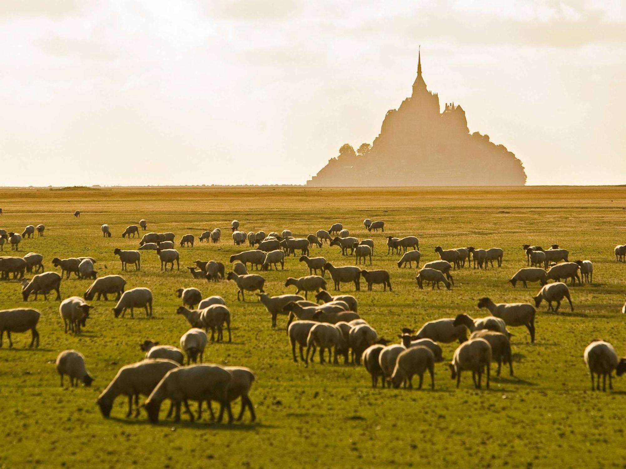 Hotelf1 Avranches Baie Du Mont Saint Michel Ngoại thất bức ảnh